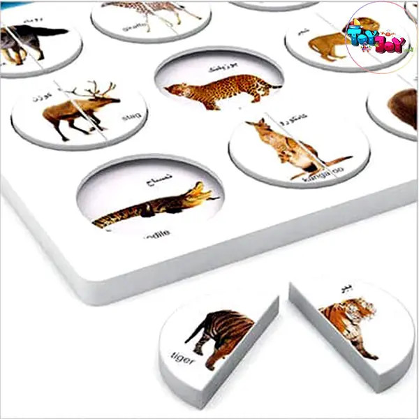 بازی آموزشی هوش چین برند زاغک مدل یک تکه ( 1.5 تا 3 سال )