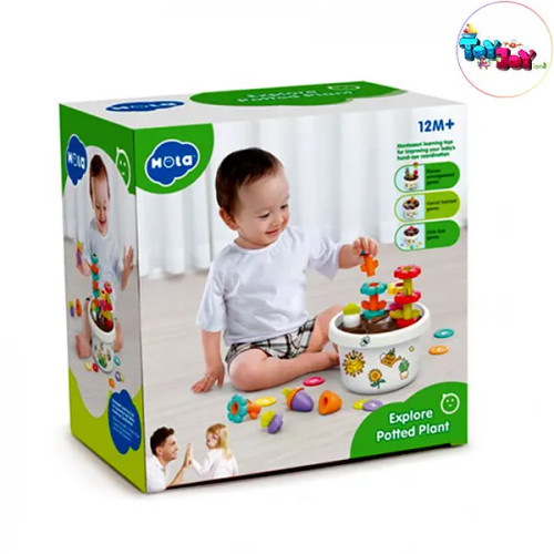 بازی گلدان هوش هولا ( هالی تویز ) مدل HE795800