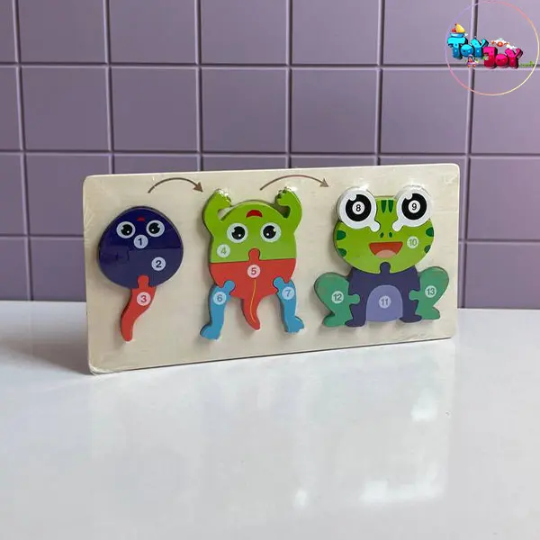 جورچین برجسته مراحل رشد قورباغه