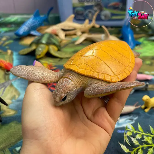 ست حیوانات دریایی سطلی