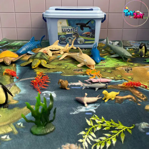 ست حیوانات دریایی سطلی