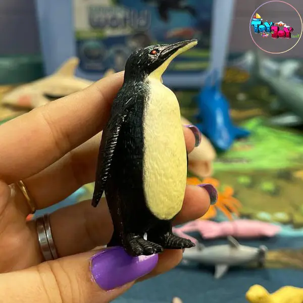 ست حیوانات دریایی سطلی