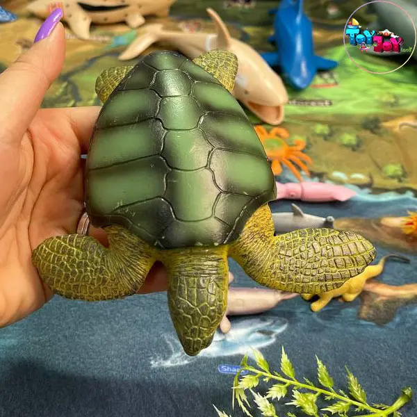 ست حیوانات دریایی سطلی