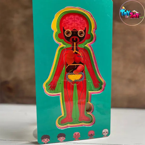 بازی آموزشی پازل طبقاتی اعضای بدن دو زبانه مدل پسرانه و دخترانه برند هیماکادو