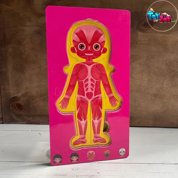 بازی آموزشی پازل طبقاتی اعضای بدن دو زبانه مدل پسرانه و دخترانه برند هیماکادو