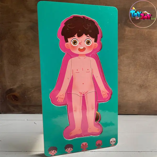 بازی آموزشی پازل طبقاتی اعضای بدن دو زبانه مدل پسرانه  و دخترانه برند هیماکادو