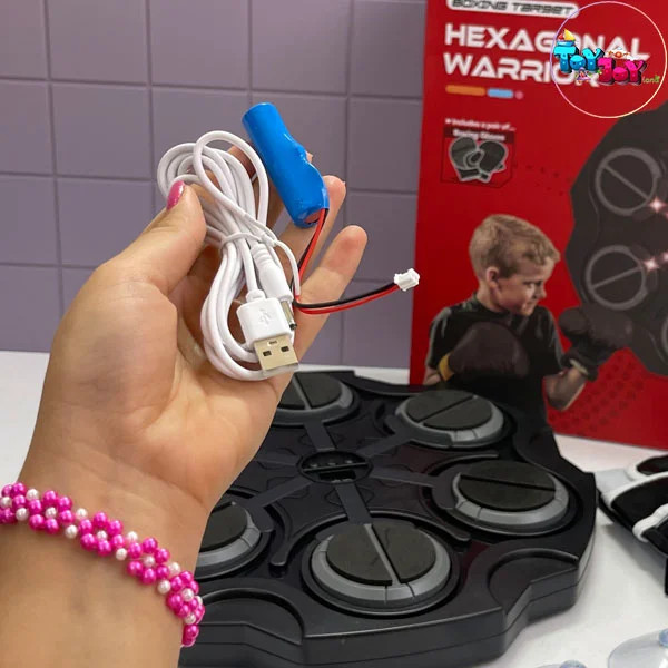 صفحه بوکس دیواری هوشمند شارژی مدل Hexagonal Warrior