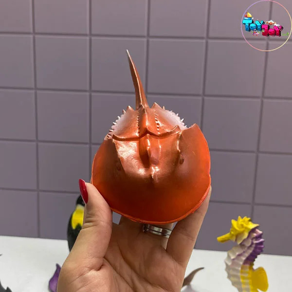 پک ۱۲ عددی فیگور حیوانات دریایی Undersea World